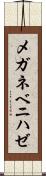 メガネベニハゼ Scroll