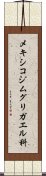 メキシコジムグリガエル科 Scroll