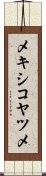 メキシコヤツメ Scroll