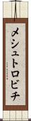 メシュトロビチ Scroll