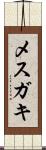 メスガキ Scroll