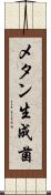 メタン生成菌 Scroll