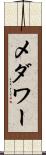 メダワー Scroll