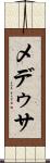 メデゥサ Scroll