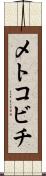 メトコビチ Scroll