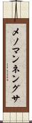 メノマンネングサ Scroll