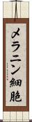 メラニン細胞 Scroll