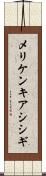 メリケンキアシシギ Scroll