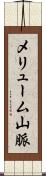 メリューム山脈 Scroll