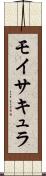 モイサキュラ Scroll