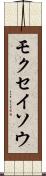 モクセイソウ Scroll