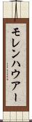 モレンハウアー Scroll