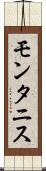 モンタニス Scroll