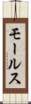 モールス Scroll