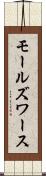 モールズワース Scroll