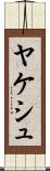 ヤケシュ Scroll