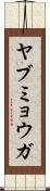 ヤブミョウガ Scroll