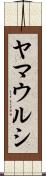 ヤマウルシ Scroll
