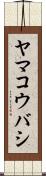 ヤマコウバシ Scroll