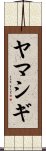 ヤマシギ Scroll