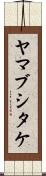 ヤマブシタケ Scroll