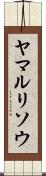 ヤマルリソウ Scroll