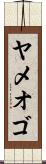ヤメオゴ Scroll