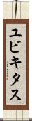 ユビキタス Scroll