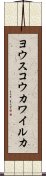 ヨウスコウカワイルカ Scroll