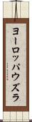 ヨーロッパウズラ Scroll