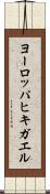 ヨーロッパヒキガエル Scroll