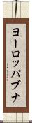 ヨーロッパブナ Scroll