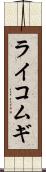 ライコムギ Scroll