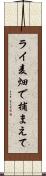 ライ麦畑で捕まえて Scroll