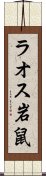 ラオス岩鼠 Scroll