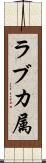 ラブカ属 Scroll