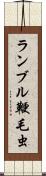 ランブル鞭毛虫 Scroll