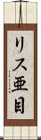 リス亜目 Scroll