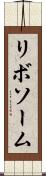 リボソーム Scroll