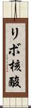 リボ核酸 Scroll