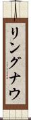 リングナウ Scroll