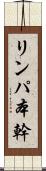 リンパ本幹 Scroll
