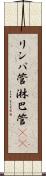 リンパ管 Scroll