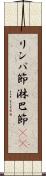 リンパ節 Scroll
