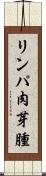 リンパ肉芽腫 Scroll