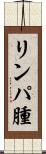 リンパ腫 Scroll