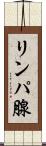 リンパ腺 Scroll