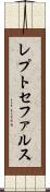 レプトセファルス Scroll