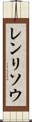 レンリソウ Scroll