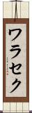ワラセク Scroll